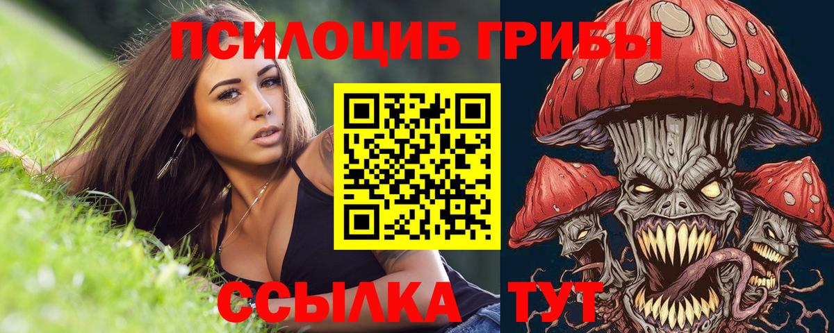 Галлюциногенные грибы GOLDEN TEACHER  цена наркотик  Менделеевск  Вход с VPN  Псилоцибиновые грибы мухоморы 